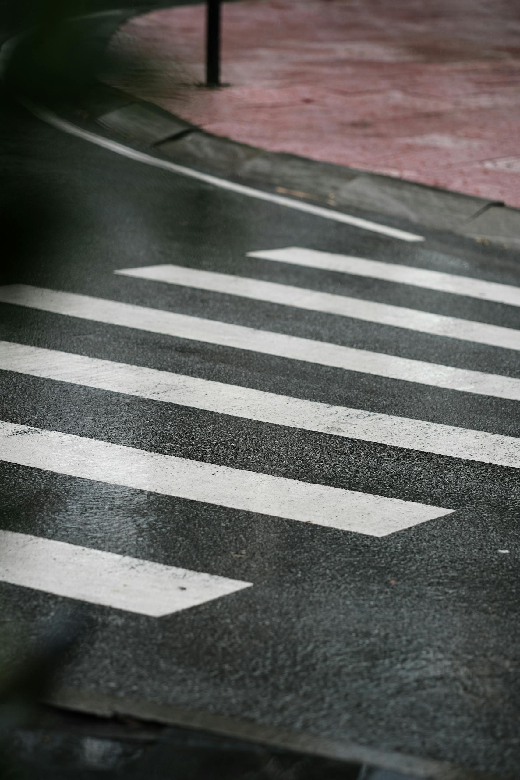 A close-up shot of a wet crosswalk on an asphalt road, showing white zebra stripes.